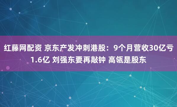 红藤网配资 京东产发冲刺港股：9个月营收30亿亏1.6亿 刘强东要再敲钟 高瓴是股东