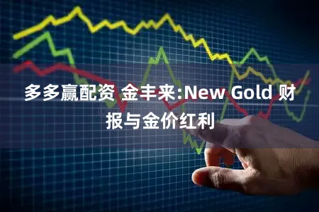 多多赢配资 金丰来:New Gold 财报与金价红利