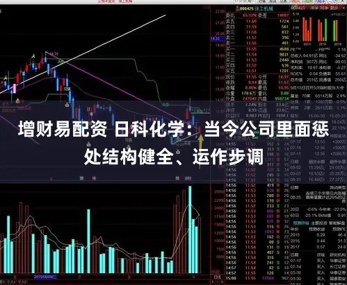增财易配资 日科化学：当今公司里面惩处结构健全、运作步调