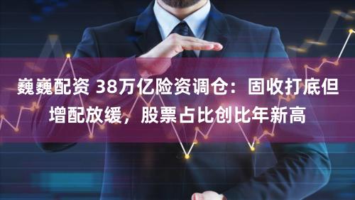 巍巍配资 38万亿险资调仓：固收打底但增配放缓，股票占比创比年新高