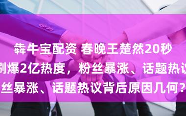 犇牛宝配资 春晚王楚然20秒回眸成焦点，刷爆2亿热度，粉丝暴涨、话题热议背后原因几何？