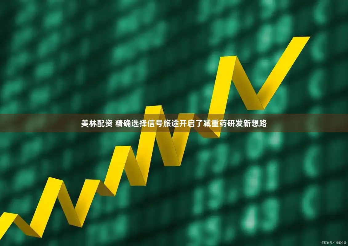 美林配资 精确选择信号旅途开启了减重药研发新想路