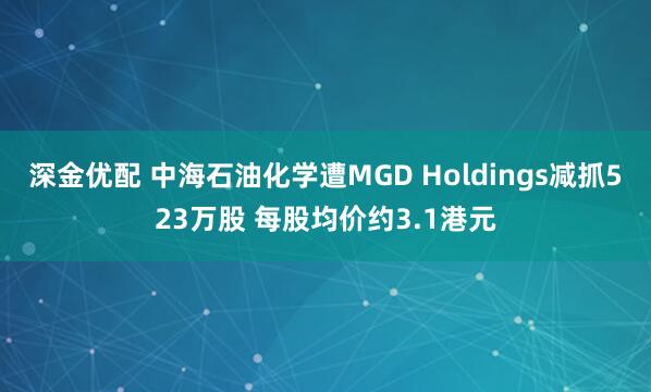 深金优配 中海石油化学遭MGD Holdings减抓523万股 每股均价约3.1港元