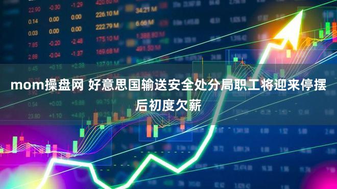 mom操盘网 好意思国输送安全处分局职工将迎来停摆后初度欠薪
