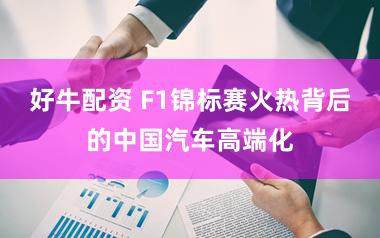 好牛配资 F1锦标赛火热背后的中国汽车高端化