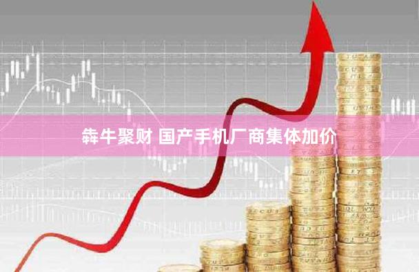 犇牛聚财 国产手机厂商集体加价